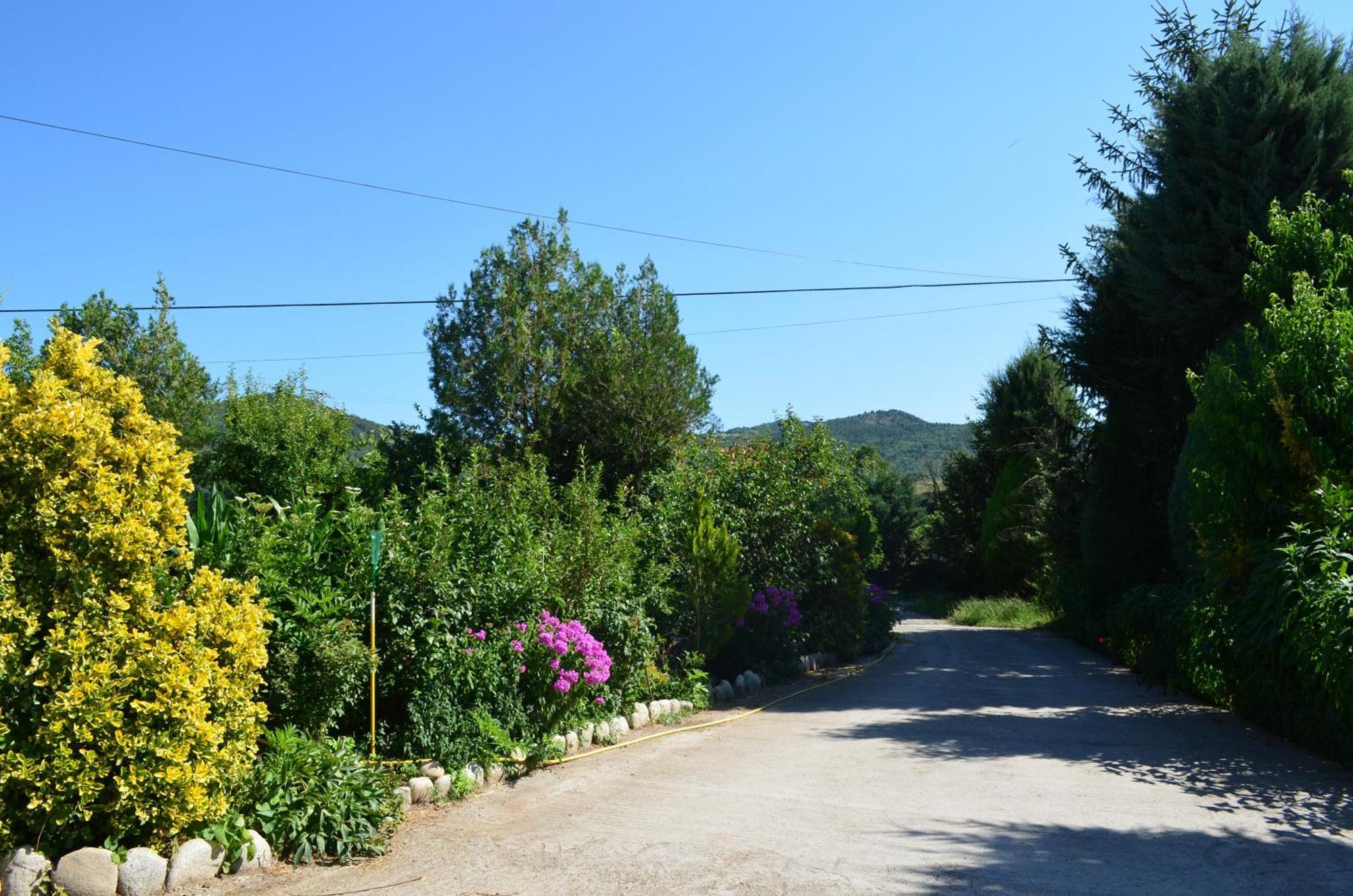 Casa Rural La Vall Del Cadi 라 세우 두르헬 외부 사진